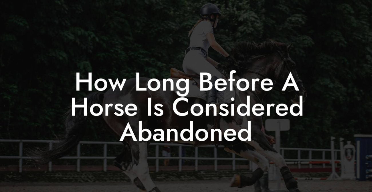 How Long Before A Horse Is Considered Abandoned