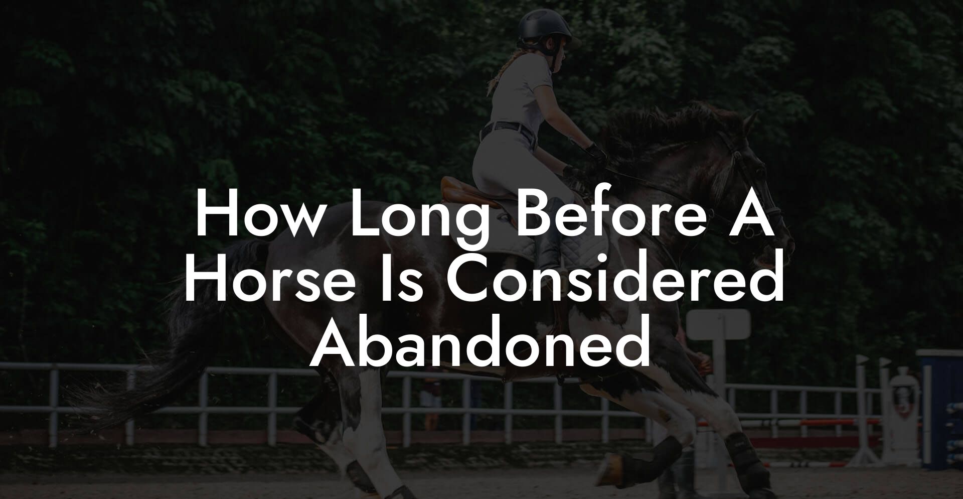 How Long Before A Horse Is Considered Abandoned