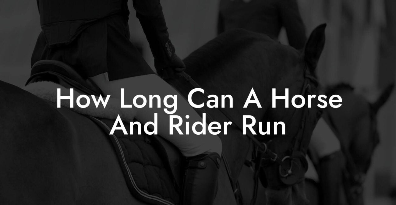 How Long Can A Horse And Rider Run