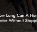 How Long Can A Horse Canter Without Stopping