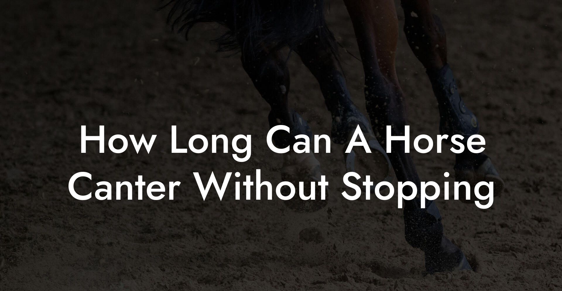 How Long Can A Horse Canter Without Stopping
