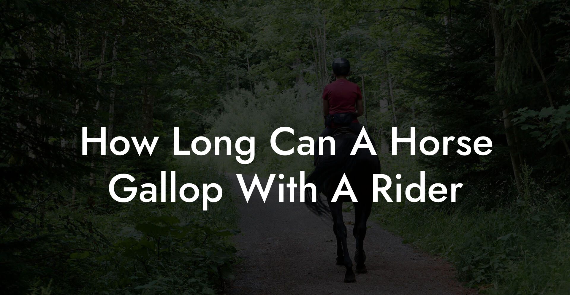 How Long Can A Horse Gallop With A Rider