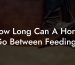 How Long Can A Horse Go Between Feedings