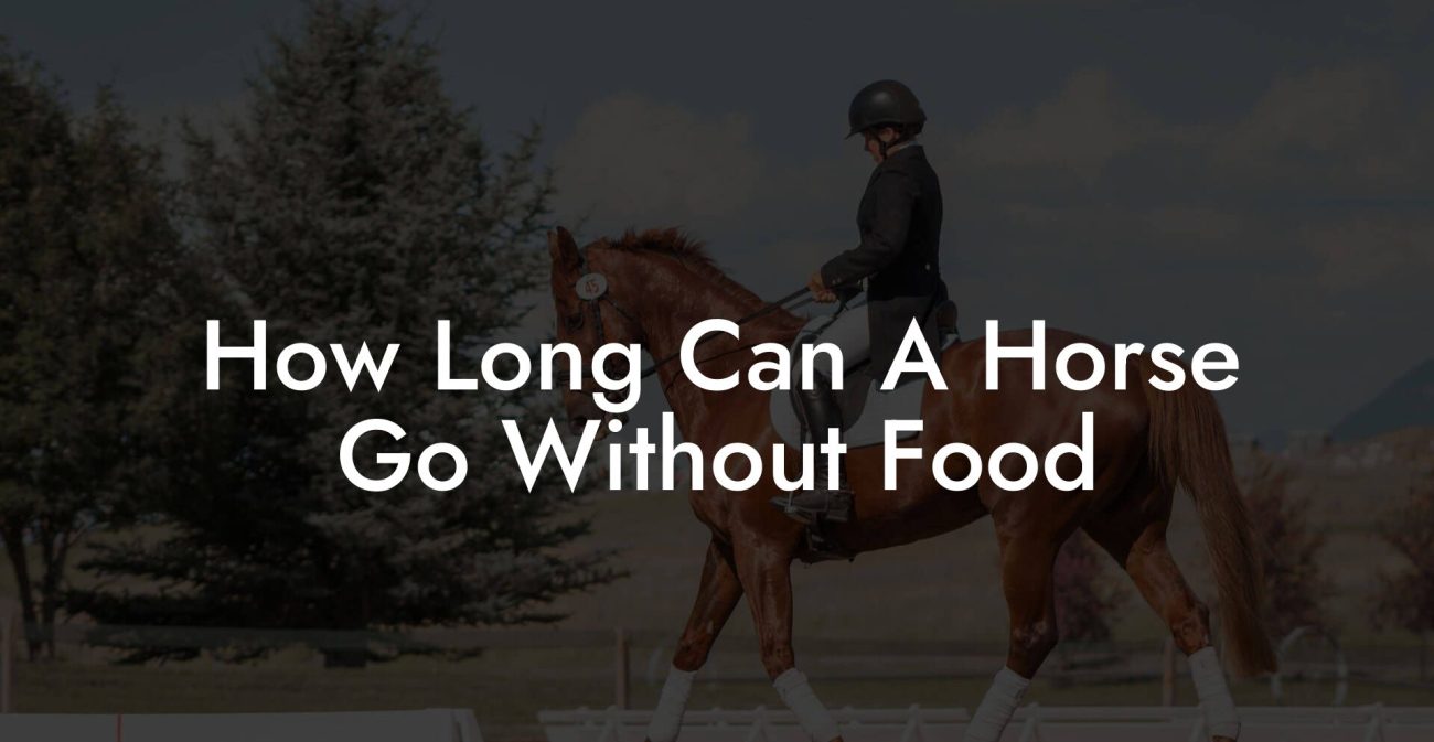 How Long Can A Horse Go Without Food