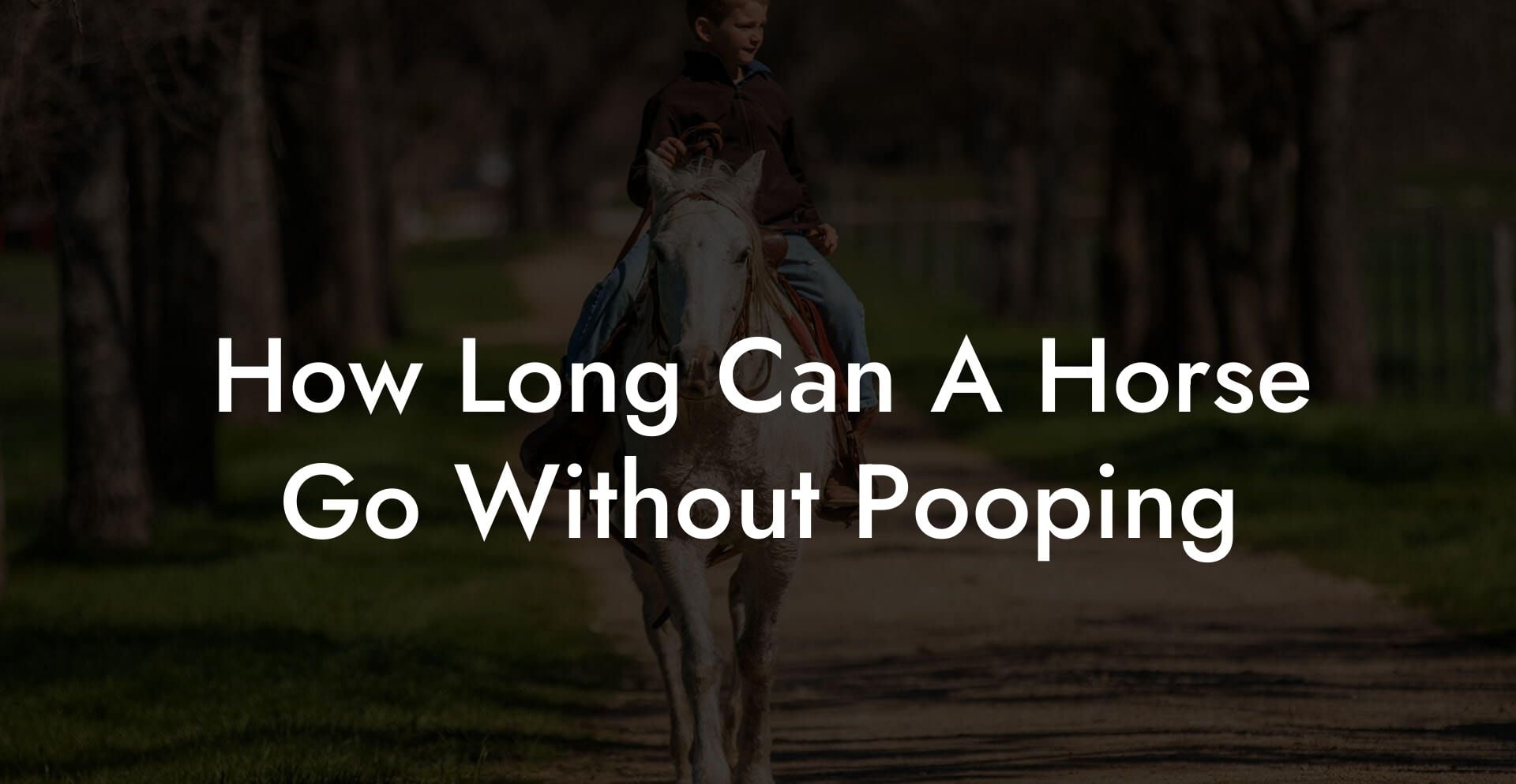 How Long Can A Horse Go Without Pooping