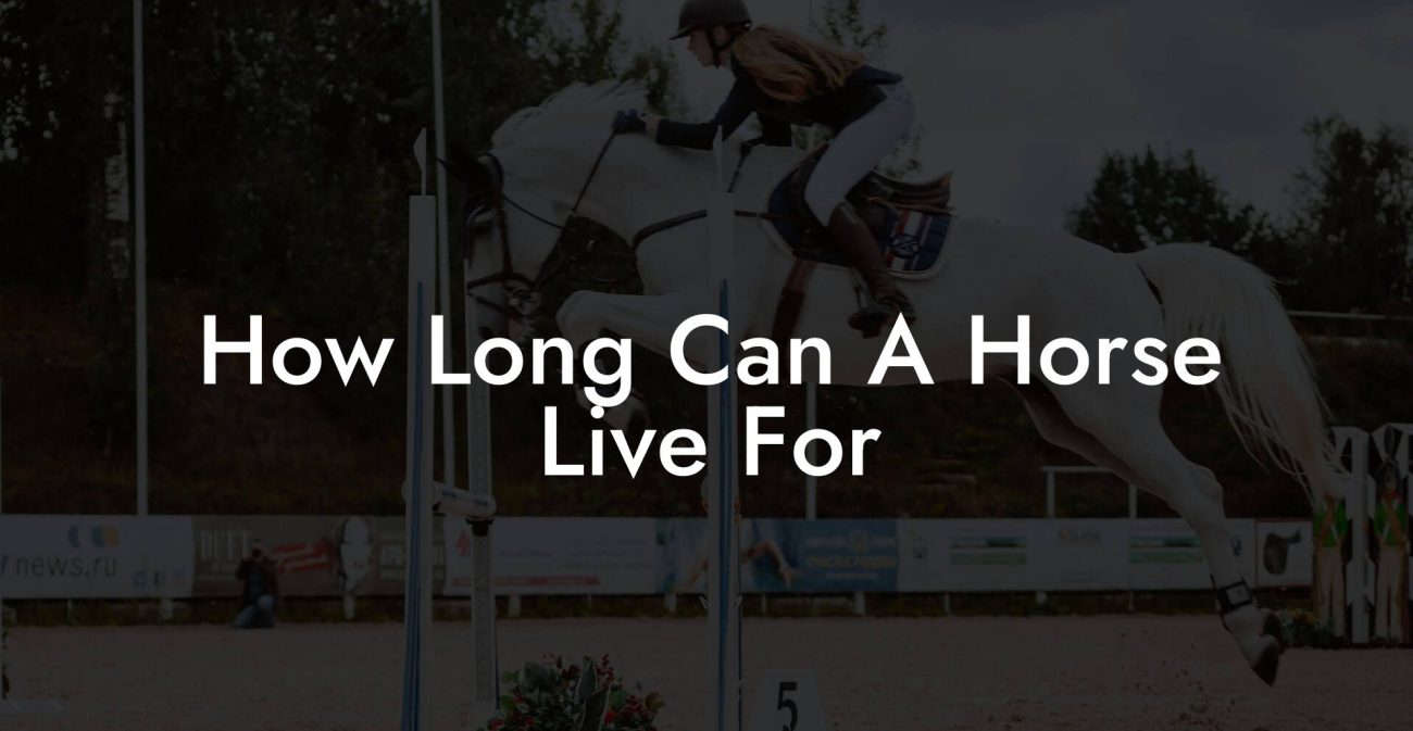 How Long Can A Horse Live For