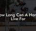 How Long Can A Horse Live For