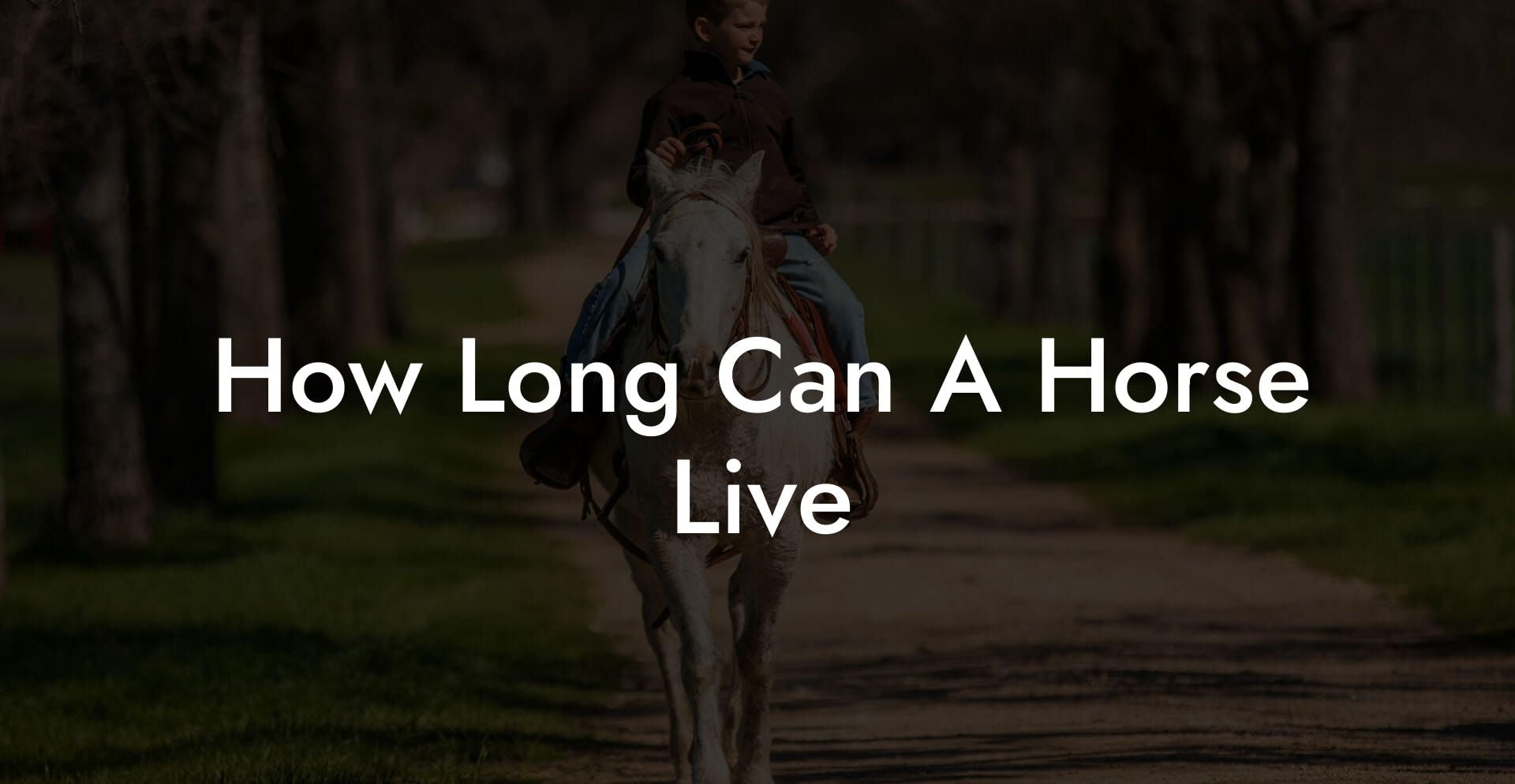 How Long Can A Horse Live