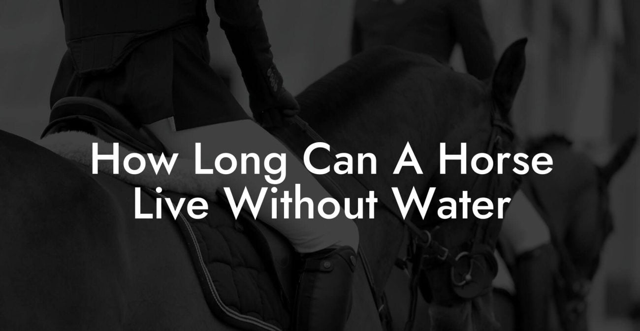 How Long Can A Horse Live Without Water