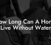 How Long Can A Horse Live Without Water