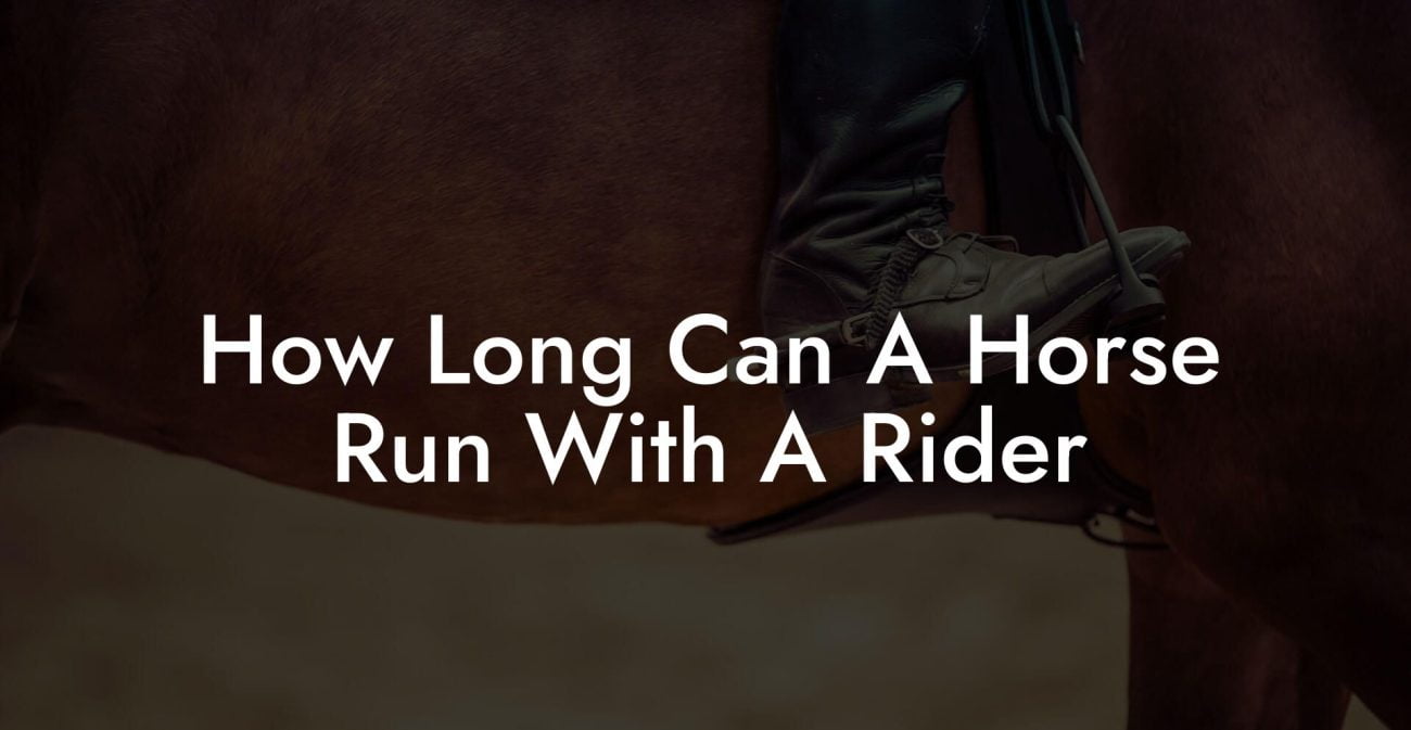 How Long Can A Horse Run With A Rider