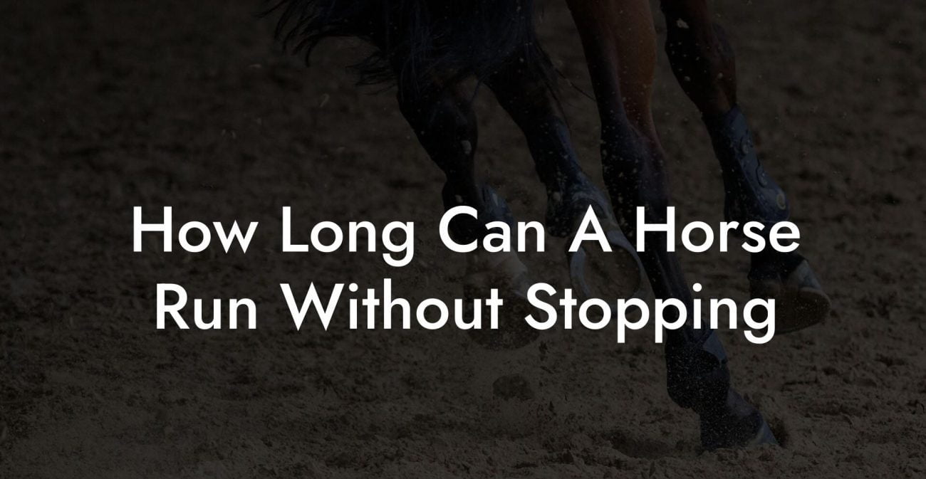 How Long Can A Horse Run Without Stopping