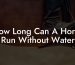 How Long Can A Horse Run Without Water