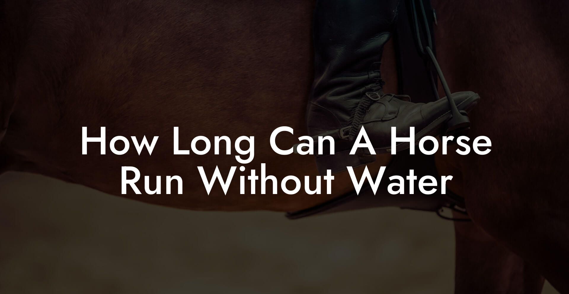 How Long Can A Horse Run Without Water