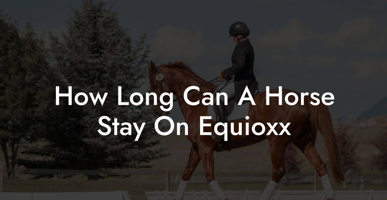 How Long Can A Horse Stay On Equioxx