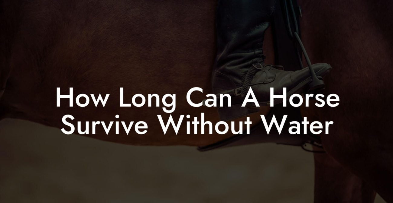 How Long Can A Horse Survive Without Water