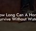 How Long Can A Horse Survive Without Water