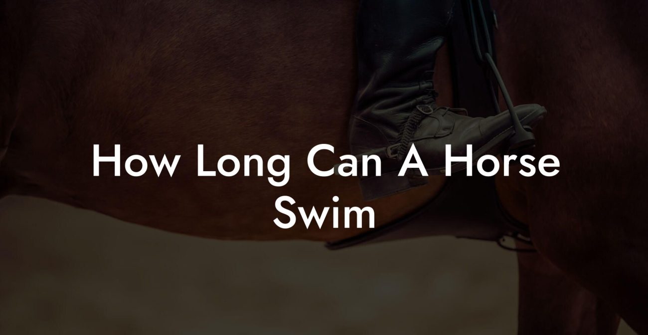 How Long Can A Horse Swim