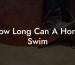 How Long Can A Horse Swim