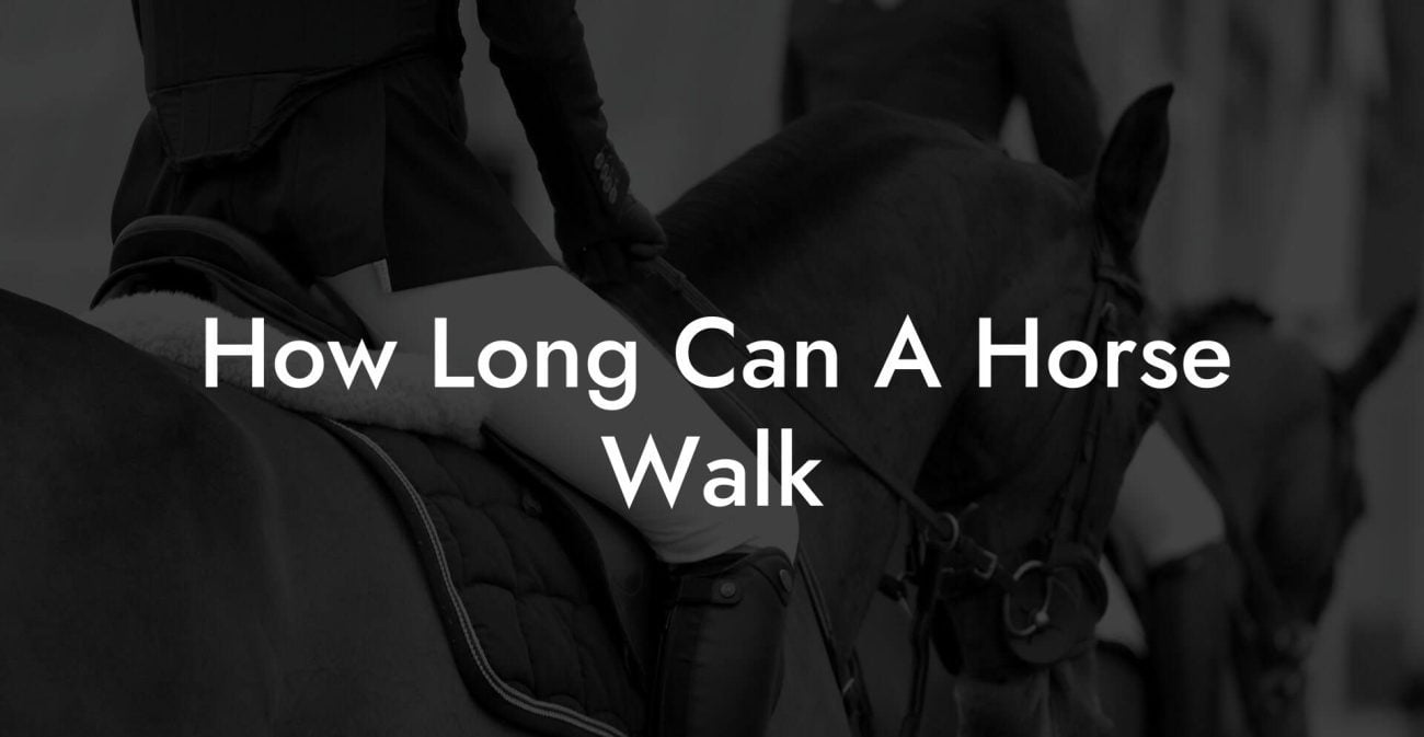 How Long Can A Horse Walk