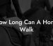 How Long Can A Horse Walk