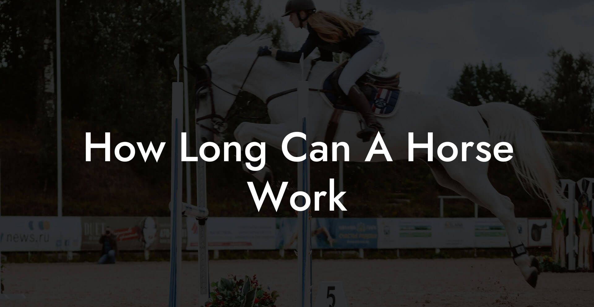 How Long Can A Horse Work