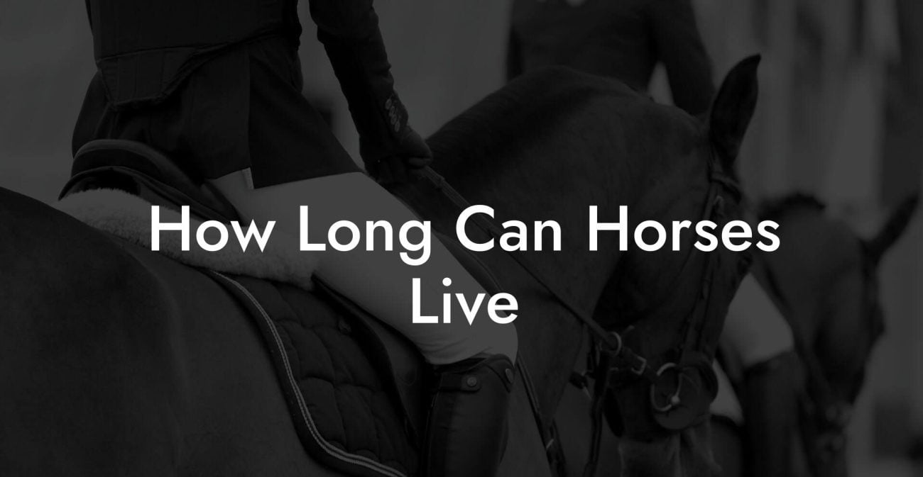 How Long Can Horses Live