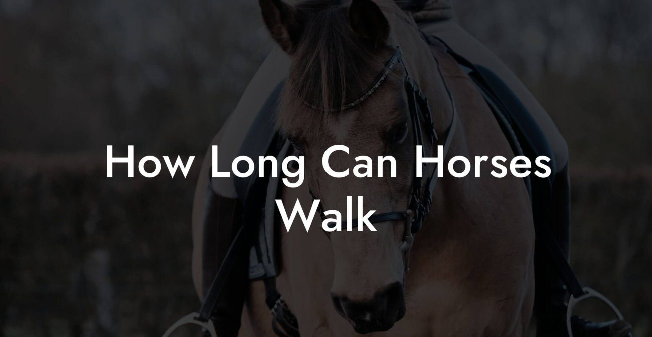 How Long Can Horses Walk