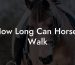 How Long Can Horses Walk