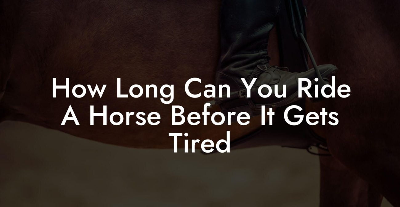 How Long Can You Ride A Horse Before It Gets Tired