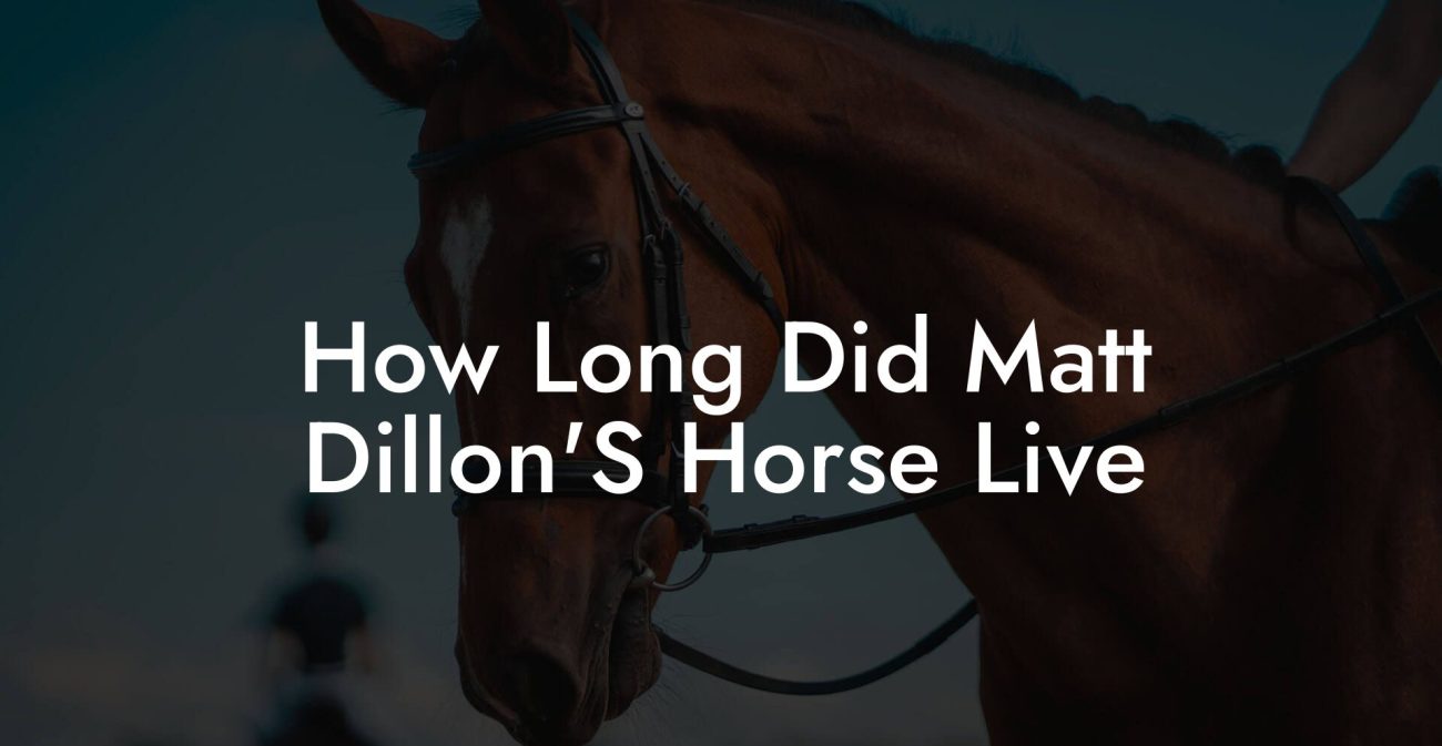How Long Did Matt Dillon'S Horse Live