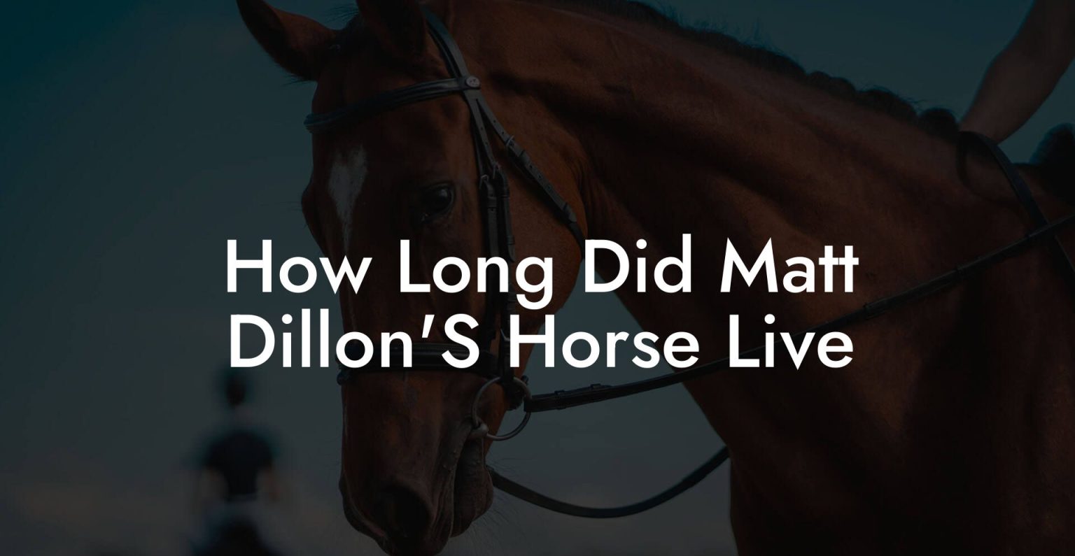 How Long Did Matt Dillon'S Horse Live How To Own a Horse