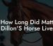 How Long Did Matt Dillon'S Horse Live