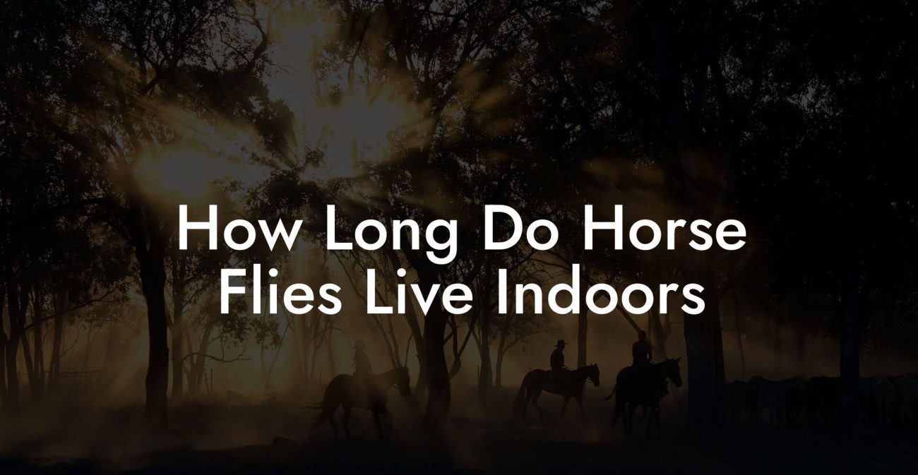 How Long Do Horse Flies Live Indoors