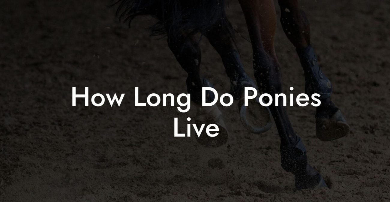 How Long Do Ponies Live