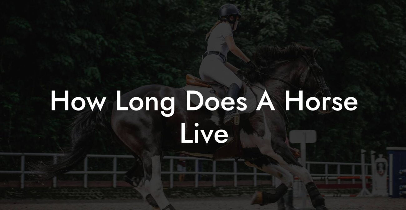 How Long Does A Horse Live