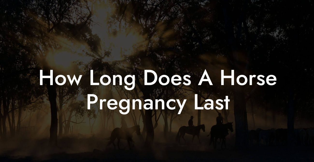 How Long Does A Horse Pregnancy Last
