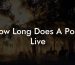 How Long Does A Pony Live