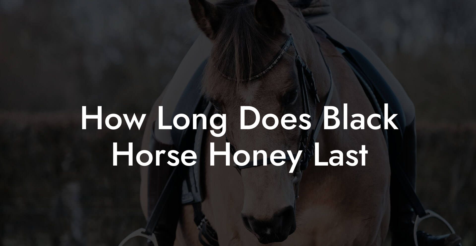 How Long Does Black Horse Honey Last