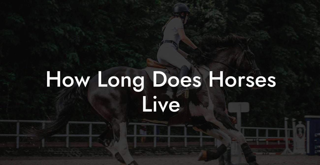 How Long Does Horses Live