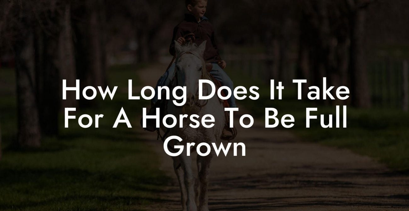 How Long Does It Take For A Horse To Be Full Grown