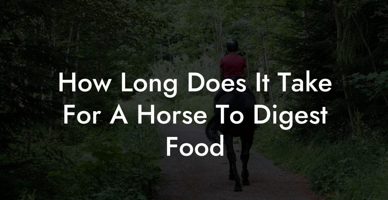 How Long Does It Take For A Horse To Digest Food