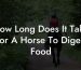 How Long Does It Take For A Horse To Digest Food