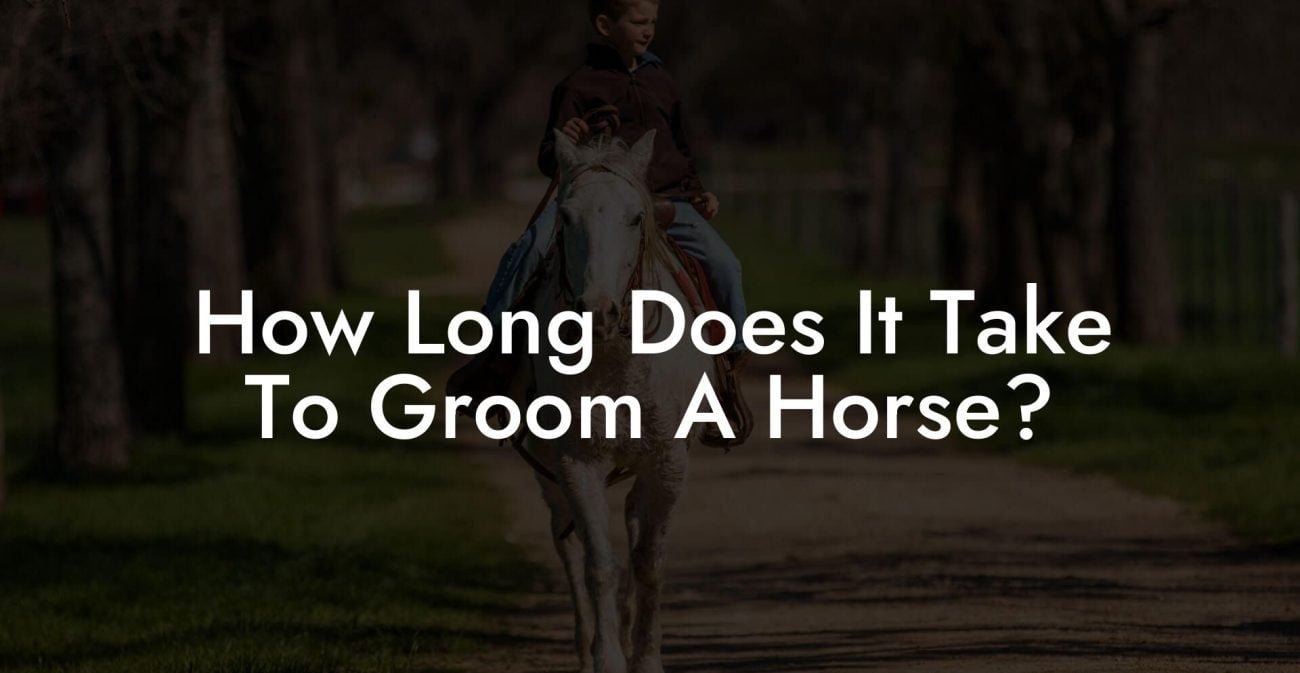 How Long Does It Take To Groom A Horse?