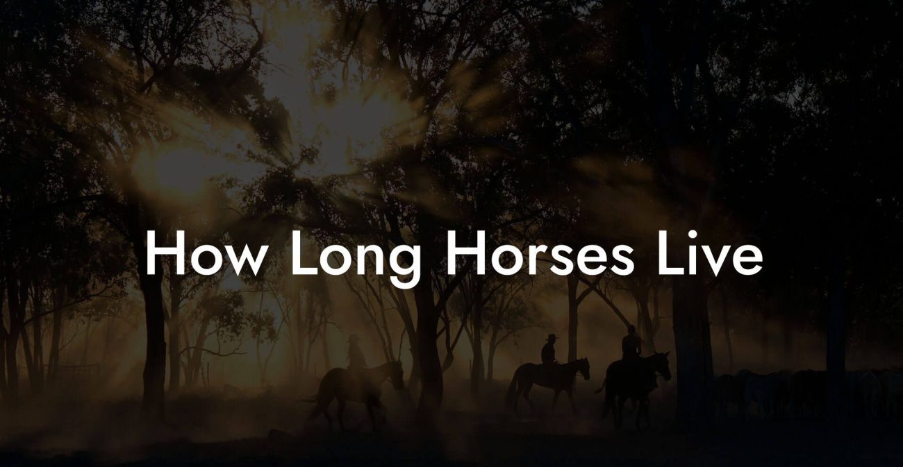 How Long Horses Live