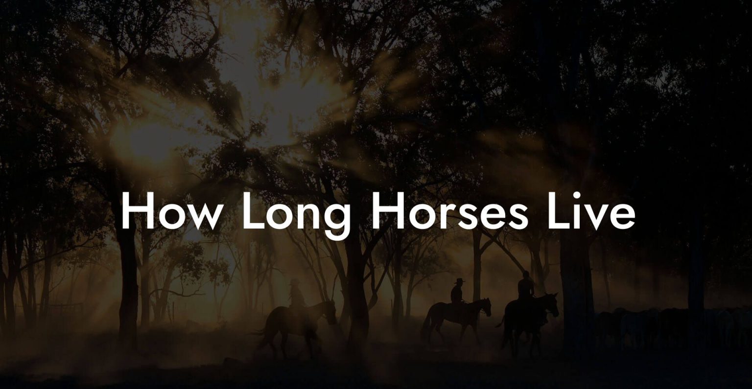 How Long Horses Live How To Own a Horse