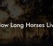 How Long Horses Live