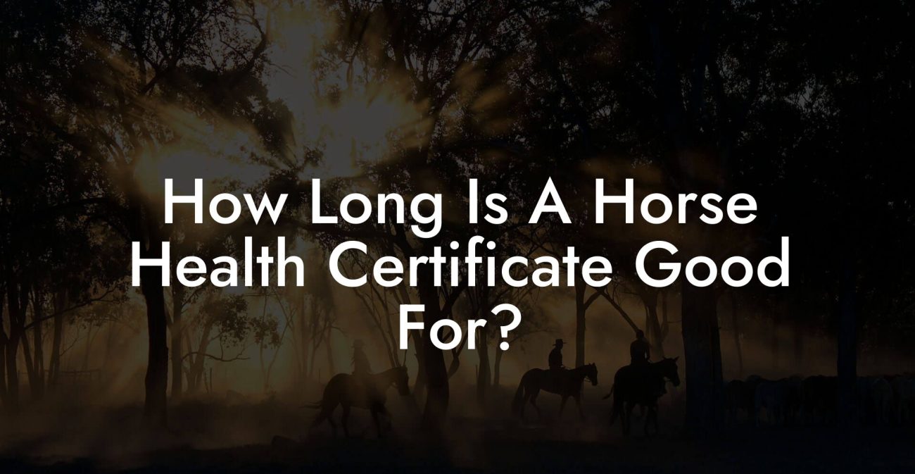 How Long Is A Horse Health Certificate Good For?