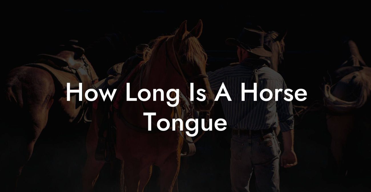 How Long Is A Horse Tongue
