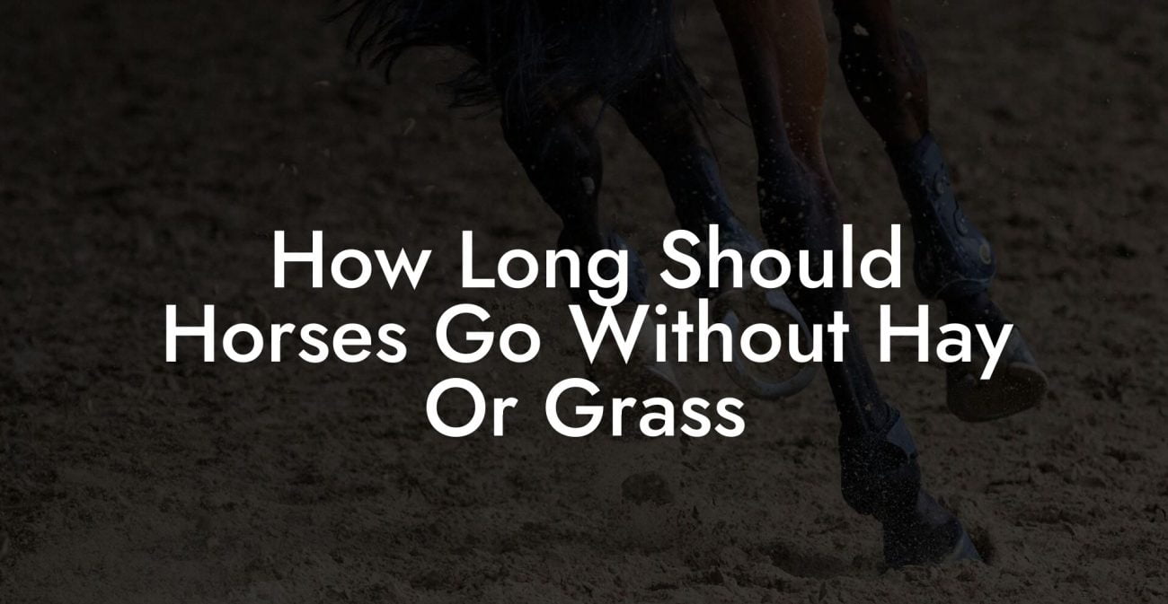 How Long Should Horses Go Without Hay Or Grass